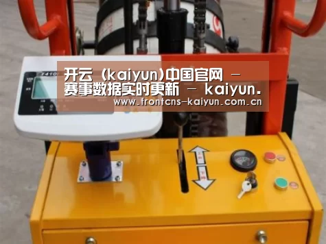 kaiyun案例展示三