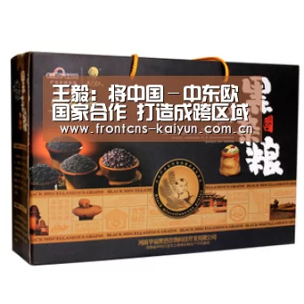 王毅:将中国-中东欧国家合作 打造成跨区域合作典范‘开云’(图3) 开云APP