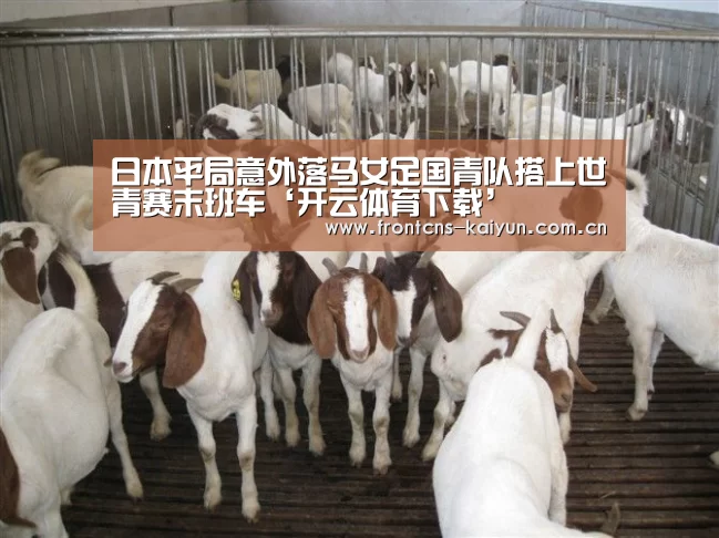 开云官网