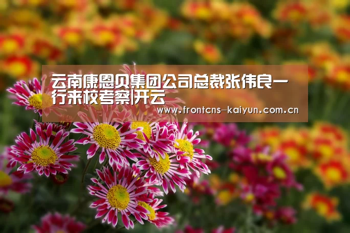 开云体育入口